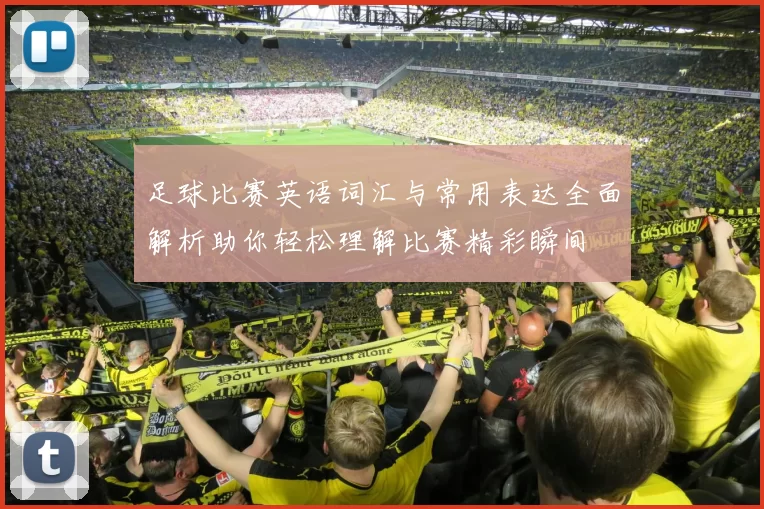 足球比赛英语词汇与常用表达全面解析助你轻松理解比赛精彩瞬间