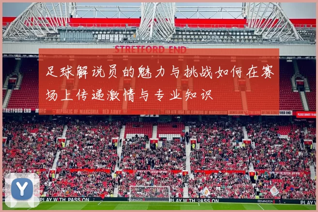 足球解说员的魅力与挑战如何在赛场上传递激情与专业知识