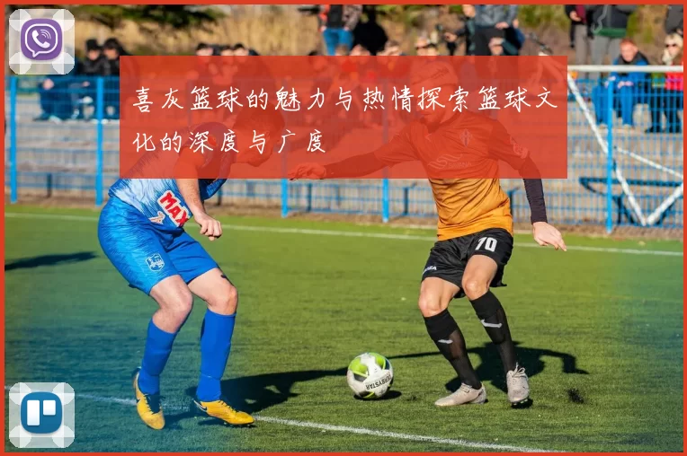 喜灰篮球的魅力与热情探索篮球文化的深度与广度